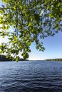 Leaves by Swedish Lake