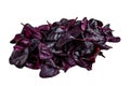 Leaves of Swiss red chard or Mangold salad. Isolated on white background. Royalty Free Stock Photo