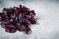 Leaves of Swiss red chard or Mangold salad. White background. Top view. Copy space Royalty Free Stock Photo