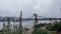 Leaves with SzÃ©chenyi Chain Bridge as view