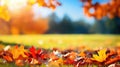 leaves template autumn background