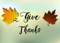 Leaves of Thanks given design