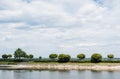 Leaves on trees near lake against sky with clouds in summer Royalty Free Stock Photo