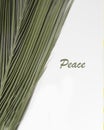 Palm leaves in close up with the word peace to evoke calmness .