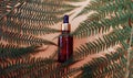 Leaves of a tropical tree on a nude background wrap cosmetics, face oil, and natural products for the skin. Bottle with a pipette Royalty Free Stock Photo