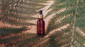 Leaves of a tropical tree on a nude background wrap cosmetics, face oil, and natural products for the skin. Bottle with a pipette Royalty Free Stock Photo