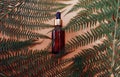 Leaves of a tropical tree on a nude background wrap cosmetics, face oil, and natural products for the skin. Bottle with a pipette Royalty Free Stock Photo