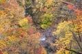 Leaves turning color in autumn in Naruko Gorge - Osaki, Miyagi, Japan Royalty Free Stock Photo