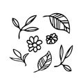 Leaves, twigs, flowers set hand drawn in doodle style. Collection of vector elements. Scandinavian monochrome. Minimalism. Simple