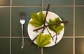 Leaves Twigs High Fiber Diet Food, Lose Weight