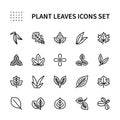 Leaves of useful plants vector line icons. Isolated icon collection of leaves plants on white background. Leaves symbol