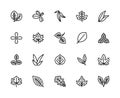 Leaves of useful plants vector line icons. Isolated icon collection on white background. Leaves symbol vector set.