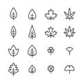 Leaves Vector Icons Set, Flat Thin Line Style. Leaf Outline in Different Shapes.