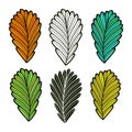 Leaves vector illustration. Autumn leaves collection. Isolated fall set. Royalty Free Stock Photo