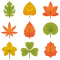 Leaves vector