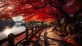 The Stunning Pathways of Ancient Japan