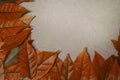 A leaves on a vintage color tone, grunge paper background.
