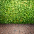 Leaves on wall and brick floor for your home and for background