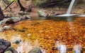 Leaves. Waterfall. Autumn. Forest. Water. Stone Royalty Free Stock Photo