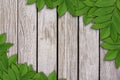 Leaves on wood background, Leaves frame. Royalty Free Stock Photo