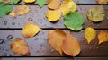 Leaves on a wooden porch in the rain