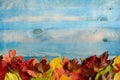 Leaves in yellow red green color scheme on blue background autumn leaves Royalty Free Stock Photo