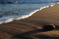 Coarse sand beach. San Francisco Royalty Free Stock Photo