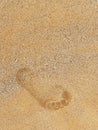 Leaving footprint on the sand. Close-up footprint from foot step walking on the sand beach, top view with copy space.