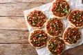 Lebanese Arab pizza with meat, tomatoes, spices and pine nuts closeup. horizontal top view Royalty Free Stock Photo