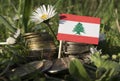 Lebanese flag with stack of money coins with grass