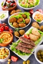 Lebanese food selection Royalty Free Stock Photo