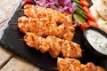 Lebanese Shish Taouk Tawookwith fresh vegetables, yogurt sauce and pita close-up. horizontal Royalty Free Stock Photo