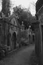 Lebanon Circle West Highgate Cemetery Royalty Free Stock Photo