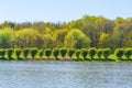 Lebedyansky pond