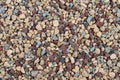 Lechuza substrate. It is a mix minerals for grow plants. Royalty Free Stock Photo