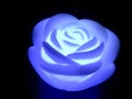 LED blue rose flower light with black background