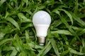 LED bulb Royalty Free Stock Photo