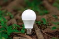 LED bulb in the forest nature background - Concept of saving energy