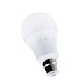 LED bulb