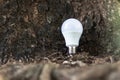 LED bulb on the wooden background