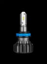 LED bulbs for car isolated on black Royalty Free Stock Photo