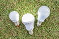 LED Bulbs with lighting on the green grass Royalty Free Stock Photo