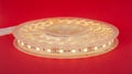 LED decorative luminous strip.diode light on a red background