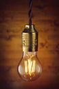 LED filament bulb Royalty Free Stock Photo