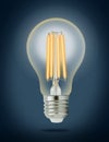 LED filament light bulb (E27) Royalty Free Stock Photo