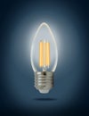 LED filament light bulb (E27) Royalty Free Stock Photo