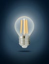 LED filament light bulb (E27) Royalty Free Stock Photo