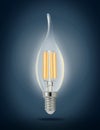 LED filament light bulb (E14) Royalty Free Stock Photo