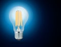 LED filament light bulb (E27) Royalty Free Stock Photo