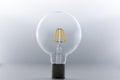 LED filament light bulb (E27) Royalty Free Stock Photo